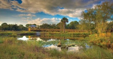 Conservancy of Southwest Florida news